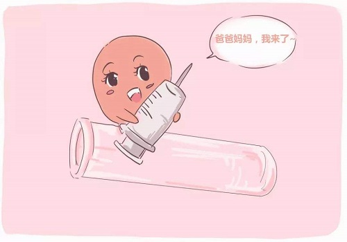 试管婴儿的大概费用是多少